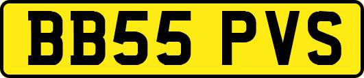 BB55PVS
