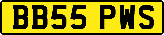 BB55PWS