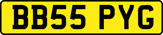 BB55PYG