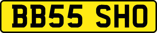 BB55SHO