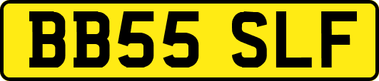 BB55SLF