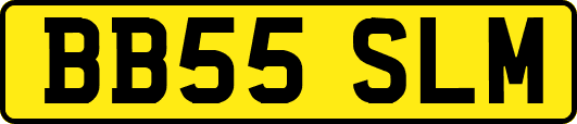 BB55SLM