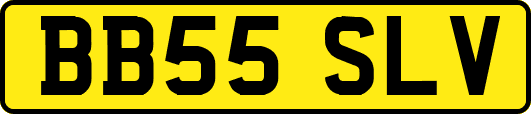 BB55SLV
