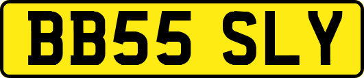 BB55SLY