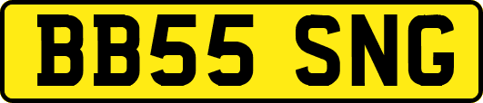 BB55SNG