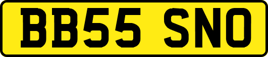 BB55SNO