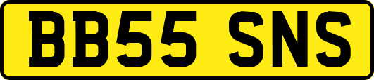 BB55SNS