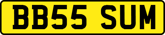 BB55SUM