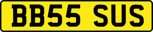 BB55SUS