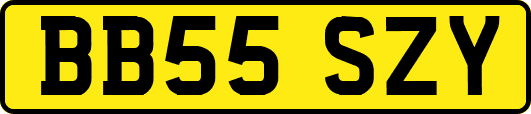 BB55SZY