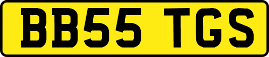 BB55TGS
