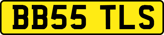 BB55TLS