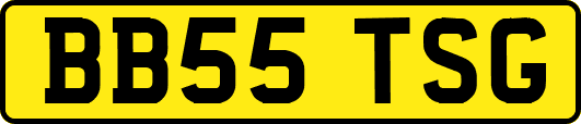 BB55TSG