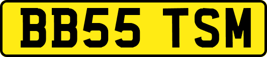 BB55TSM
