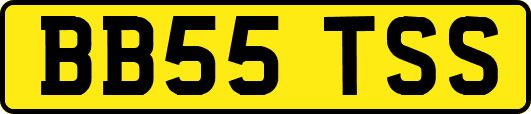 BB55TSS