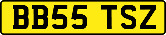 BB55TSZ