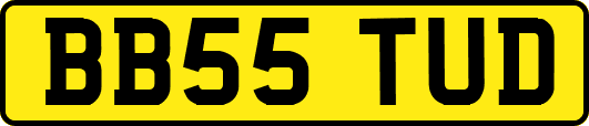 BB55TUD