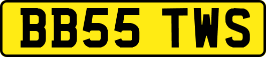 BB55TWS