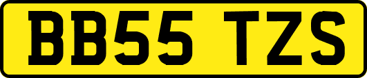 BB55TZS