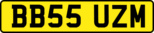 BB55UZM