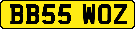 BB55WOZ