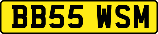 BB55WSM