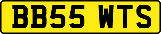 BB55WTS