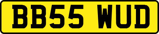BB55WUD