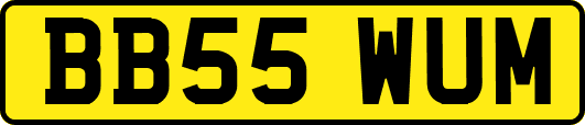 BB55WUM