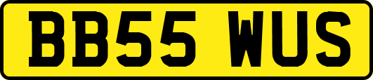 BB55WUS
