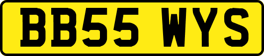 BB55WYS