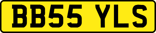 BB55YLS
