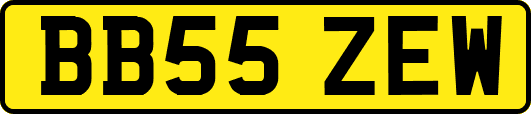 BB55ZEW