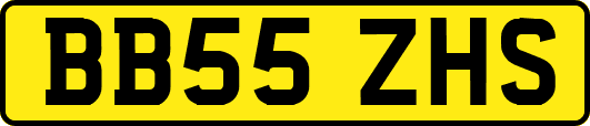 BB55ZHS