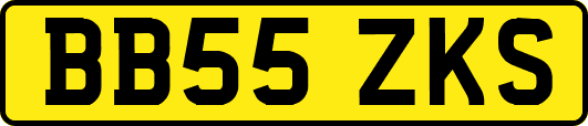 BB55ZKS