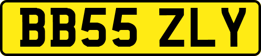 BB55ZLY