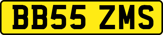 BB55ZMS