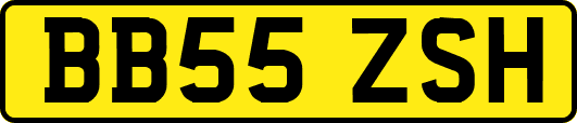 BB55ZSH