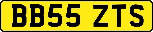 BB55ZTS