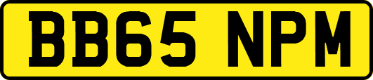 BB65NPM
