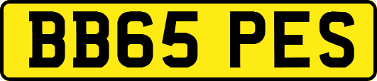 BB65PES