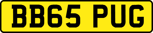 BB65PUG