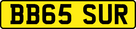 BB65SUR