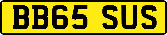 BB65SUS