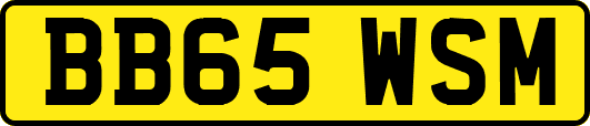 BB65WSM