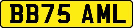 BB75AML