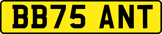 BB75ANT