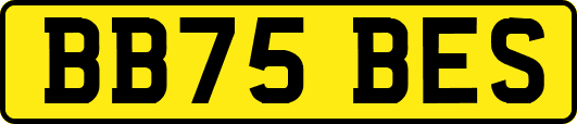 BB75BES