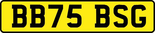 BB75BSG