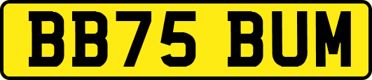 BB75BUM